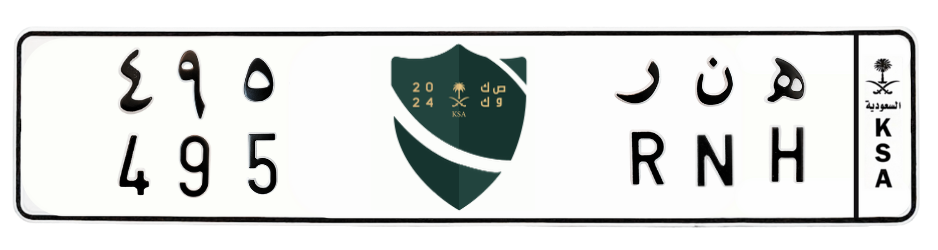 لوحة ه ن ر 495